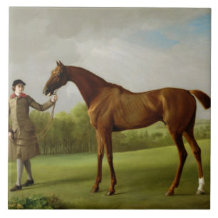 Glanz Georges Stubbs  , gehalten von einem Fliese