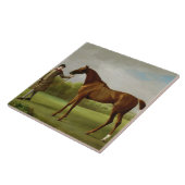 Glanz Georges Stubbs |, gehalten von einem Fliese (Seite)