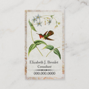 Glänzende Kolibri-Geschäftskarten Visitenkarte