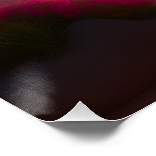 Glänzende Poster (Ecke)