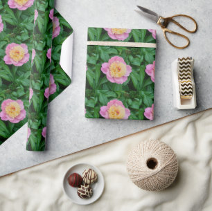 Glänzende rosa Pfingstrose mit grünen Blättern Kun Geschenkpapier