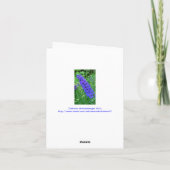 GLÄNZENDER BLAUER DELPHINIUM NOTECARD KARTE (Rückseite)