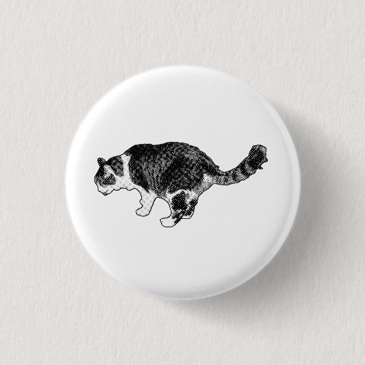 Glänzender Punkt, Katzenmerkmal Button (Vorderseite)