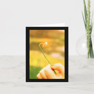 Glänzender Zwiebel-Locken-Stamm Karte