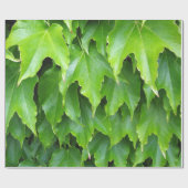 Glänzendes grünes Efeu-Blätter Geschenkpapier (Flach)
