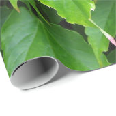 Glänzendes grünes Efeu-Blätter Geschenkpapier (Rolleneckpunkt)