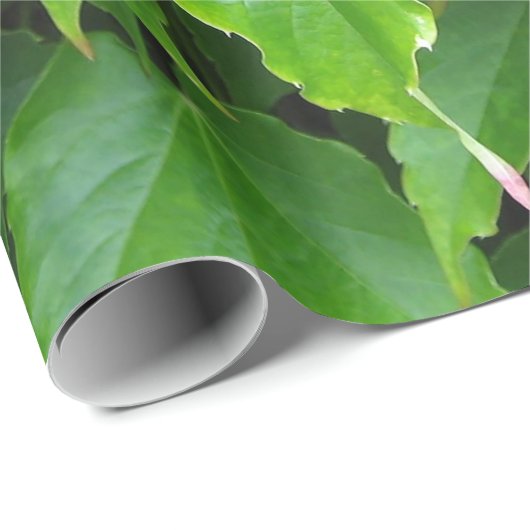 Glänzendes grünes Efeu-Blätter Geschenkpapier (Rolleneckpunkt)