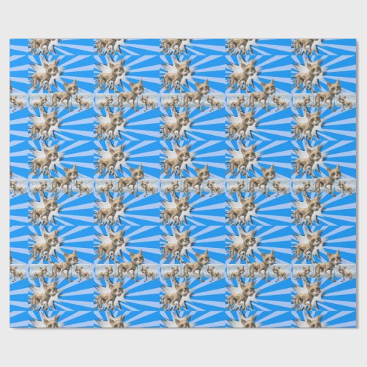 glänzendes Papier, blaue Katze Geschenkpapier (Flach)