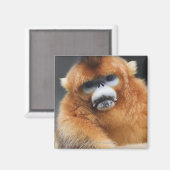 Glanzgebirge Magnet (Vorderseite/Rückseite)