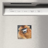 Glanzgebirge Magnet (In Situ (Geschirrspüler))