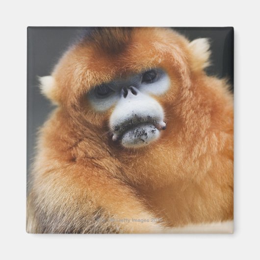 Glanzgebirge Magnet (Vorne)