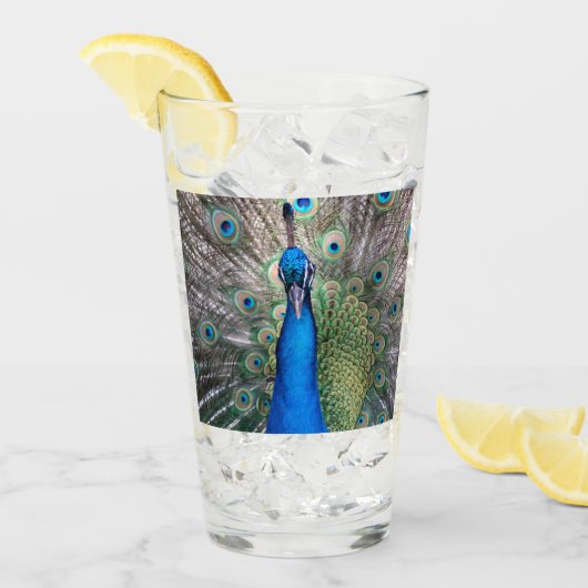 Glas 002 - Pfau (Vorderseite Ice)