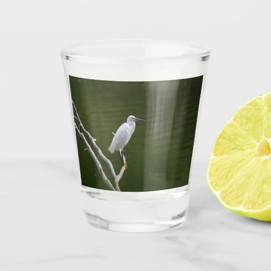 Glas aigrette garzette (Vorderseite)