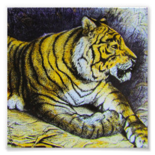 Glas Magisches Laternenbild EIN TIGER 1900 GROSSKA Fotodruck