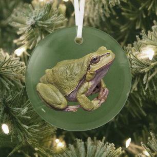 Glas-Ornament Laubfrosch Süßer Zen-Frosch Ornament Aus Glas