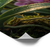 Glas-Schwebekolibri-Orchideen-Glanz Poster (Ecke)