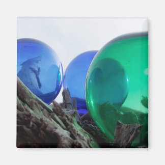 Glas schwimmt auf grauem Treibholz Magnet
