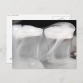 Gläser mit Wasser und Trockeneis Postkarte (Vorne/Hinten)