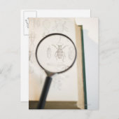 Gläserndes Buch mit Insekten Postkarte (Vorne/Hinten)