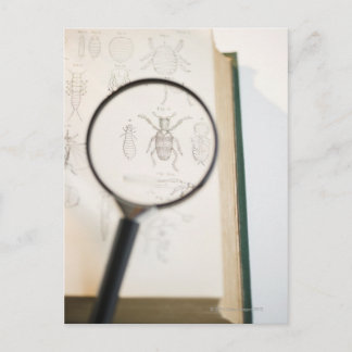 Gläserndes Buch mit Insekten Postkarte