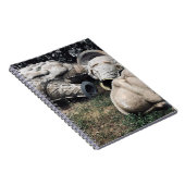 Glasfaser-Friedhofseiskegel Notizblock (Rechte Seite)