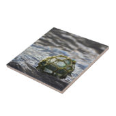 Glasfischerei Floatportale Fliese (Seite)