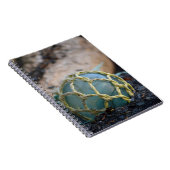 Glasfischerei Notizblock (Rechte Seite)