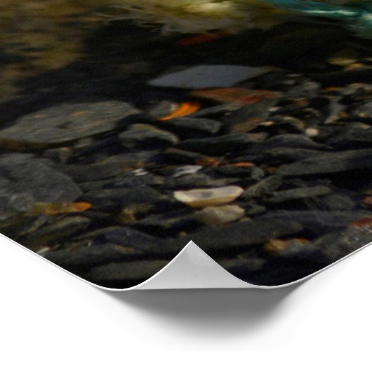 Glasfischerei Poster (Ecke)