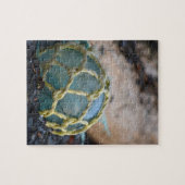 Glasfischerei Puzzle (Horizontal)