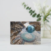 Glasfloat und Anemon Postkarte (Stehend Vorderseite)