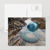 Glasfloat und Anemon Postkarte (Vorne/Hinten)