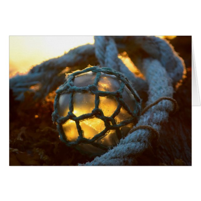 Glasflocken leuchten bei Sonnenuntergang, Alaska (Vorderseite (Horizontal))
