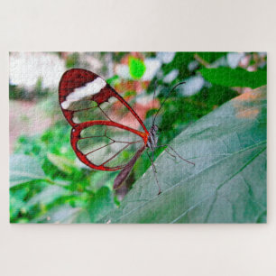 Glasflügler Schmetterling. Puzzle