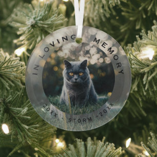 Glasfoto zur Erinnerung an das Haustier Katze zu W Ornament Aus Glas