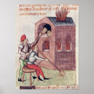 Glasgebläse, von 'Tractatus de Herbis' Poster