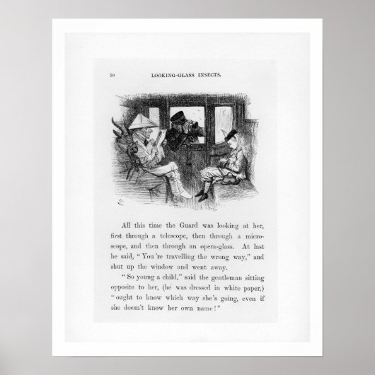 Glasinsekten, Illustration von "Alice Th. Poster (Vorne)