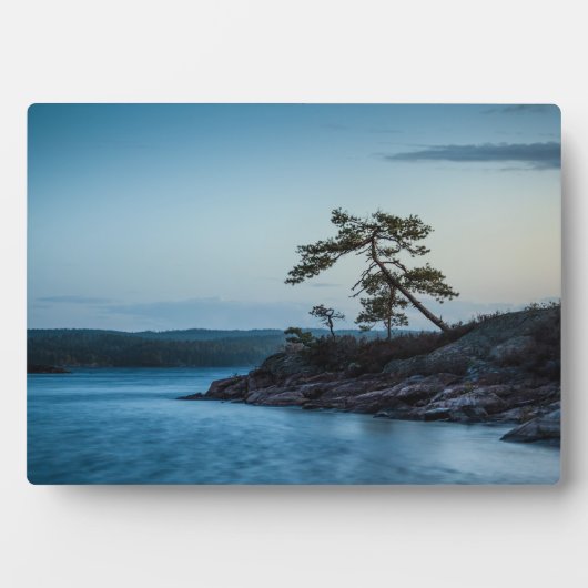 Glaskogen Schweden Fotoplatte (Vorderseite)