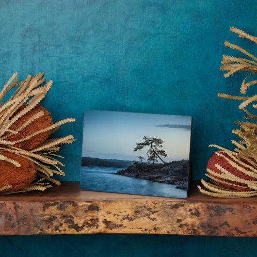 Glaskogen Schweden Fotoplatte (Seite)