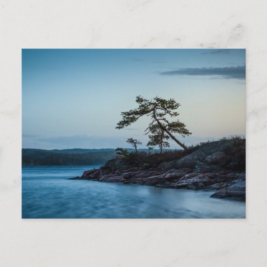 Glaskogen Schweden Postkarte (Vorderseite)