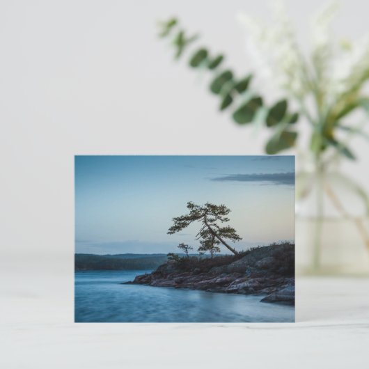 Glaskogen Schweden Postkarte (Stehend Vorderseite)