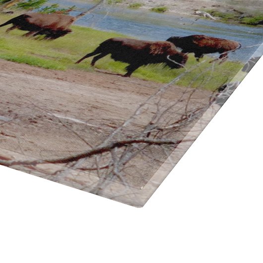 Glasküchenbrett - Yellowstone Bison Schneidebrett (Ecke)