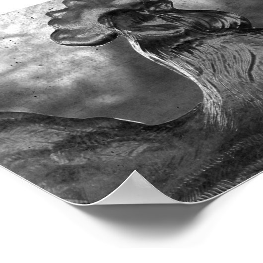 Glasröster Poster (Ecke)