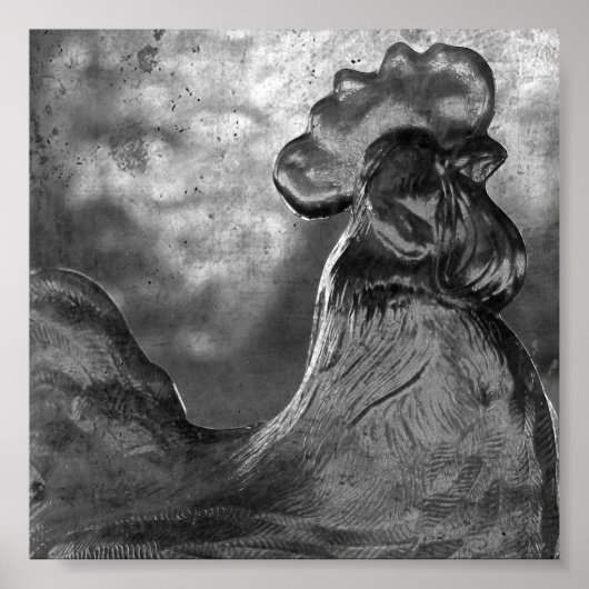 Glasröster Poster (Vorne)