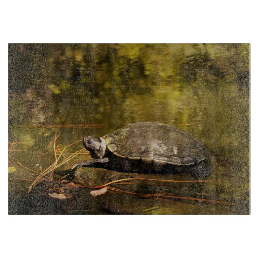 Glass Cutting Board - Schildkröte im Teich Schneidebrett (Vorderseite)