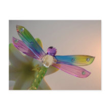 Glass Dragonfly Postkarte
