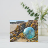 Glass Float auf Kelp Postkarte (Stehend Vorderseite)