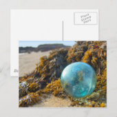 Glass Float auf Kelp Postkarte (Vorne/Hinten)