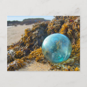 Glass Float auf Kelp Postkarte
