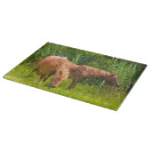 Glass Kitchen Cutting Board - Assateague Ponies Schneidebrett (Ecke)