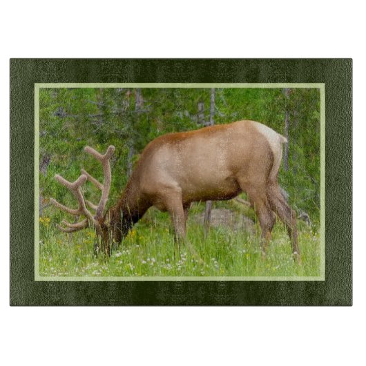 Glass Kitchen Cutting Board - Yellowstone Elch Schneidebrett (Vorderseite)